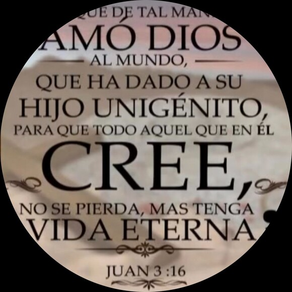 yenigarzon08